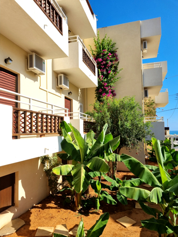 Smaragdine Beach Hotel Garten